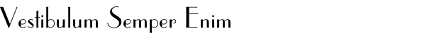 Vestibulum Semper Enim
