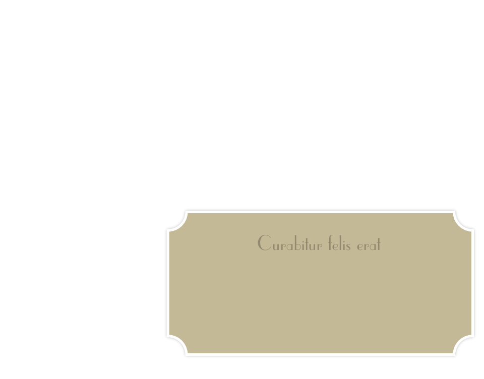 Curabitur felis erat
