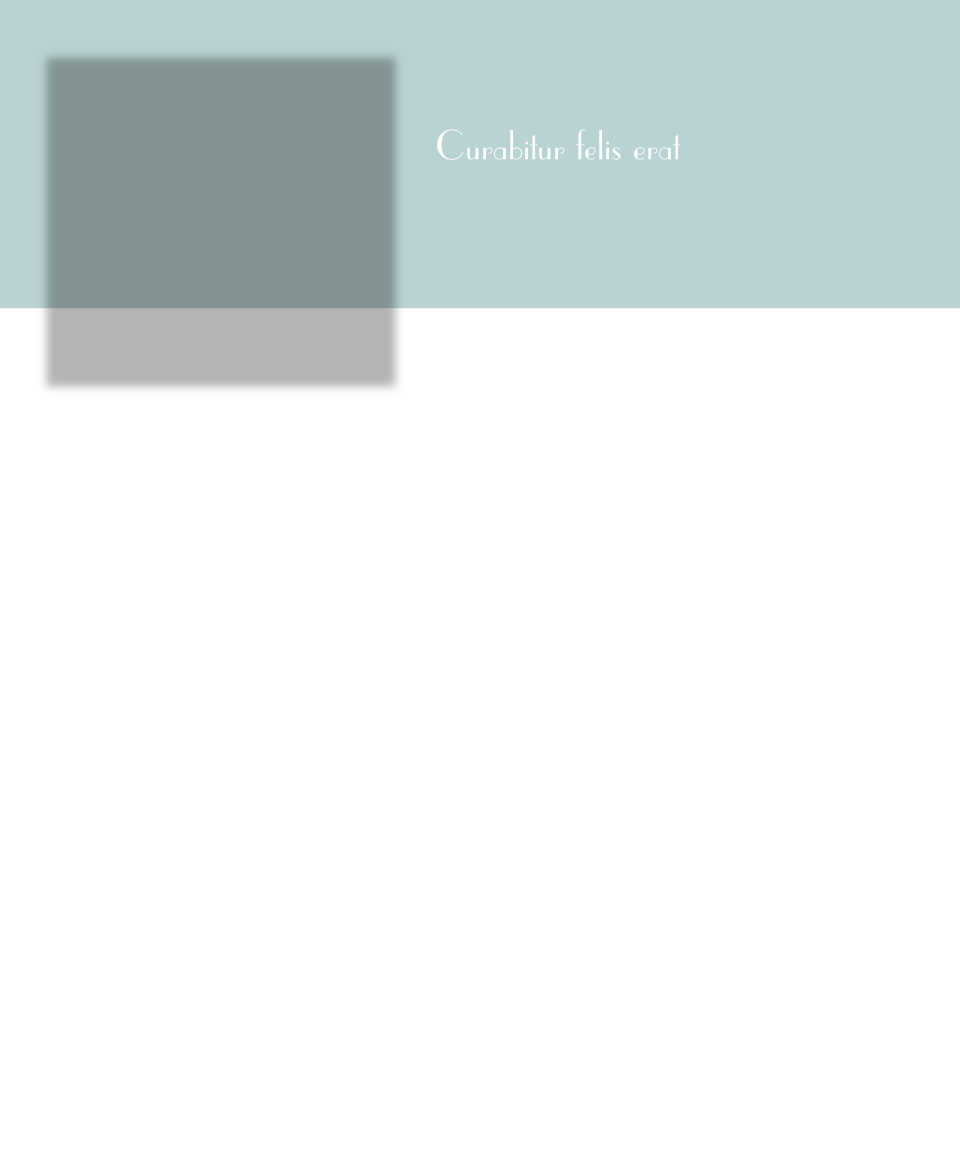 Curabitur felis erat
